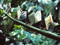 春天开始发财的星座评比