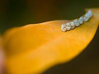 杨清华乙未年农历四月事业财运