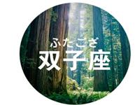 给双子座球迷老婆的忠告