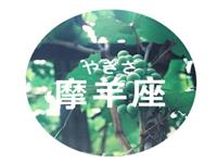 给摩羯座球迷老婆的忠告