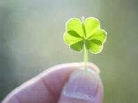 郑博士一周生肖运势（2015.5.4-5.10）