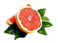 教狮子座MM边吃边瘦