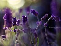 五分钟之内做对是高智商