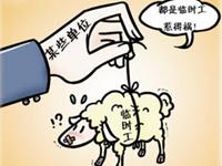 易沦为职场替罪羊的星座排行