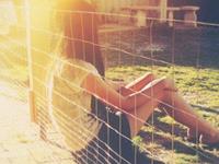 白羊金牛男与巨蟹女二区的星座配对