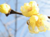 范姓的姓氏起源