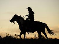 梦见骑马的心理学解梦