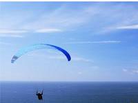 紫薇告诉你什么勇气能让事业保鲜