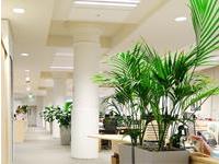 如何给店铺和公司起名