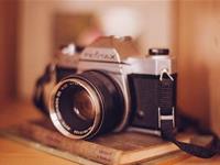 熊神进一周生肖运势（8.3-8.9）