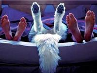 梦见重婚的心理学解梦