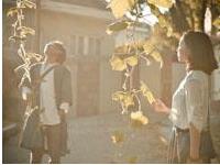 你会如何对待你的心上人