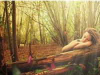 董易奇一周生肖运势（8.31-9.6）