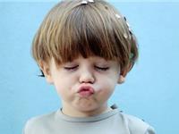 品味十二生肖的性格特质