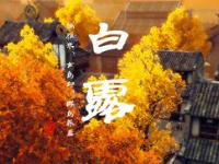 白露将至生肖运势又如何