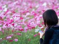 小孟老师塔罗运势预测（9.14-9.20）