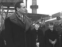 塔罗看你是淡定帝么