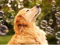 塔罗牌测试出你的爱情角色