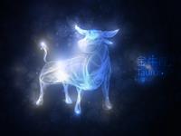 金牛座的破财盲点