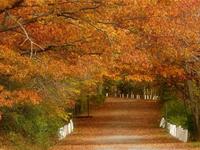 金秋十月，天秤座会收获什么