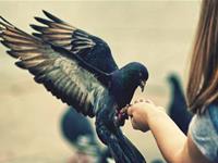 你身边贵人多还是小人多？