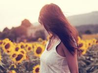 你为什么追不到12星座