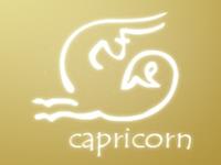 摩羯座不配做什么