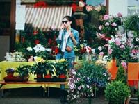 苏珊米勒一周星座运势（11.16-11.22）