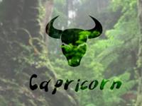 摩羯座会对什么事耿耿于怀