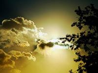 紫微斗数看你的天相