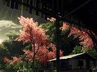 测测他一夜情的概率