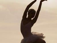 12月生肖虎整体运盘点