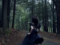 董易林2016年生肖猪的运势