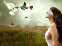 塔罗占卜你会容易被骗吗？