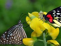 占卜你最近受到什么启示？