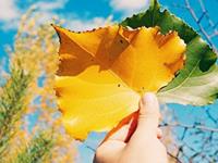 从梦境找到你的幸运色