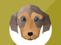 十二月生肖狗运程点评