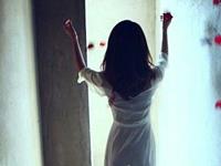 苏民峰2016年生肖狗运势