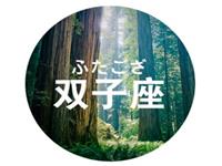 双子座如何处理年末带来的压力