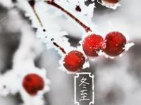 冬至生肖开运指南