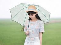 凯利2016年摩羯座运势