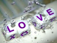 12星座的相亲宣言