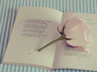 张盛舒12星座每周旅游出行运(12.27-1.2)