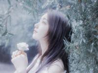 凤鸣九天2016年双子座运势