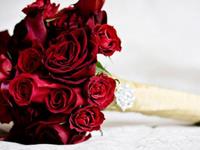 熊神进2016年12星座运势