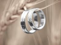 12星座对婚前试婚的看法