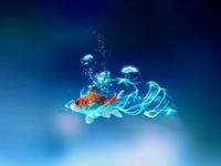 苏珊米勒2016年1月双子座运势完整版