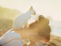 APP2016年双鱼座年运