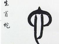 爱情中生肖蛇的风格