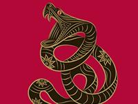 2016年生肖蛇专属幸运色